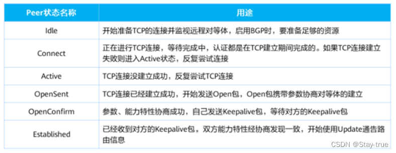 第十天：BGP 边界网关协议