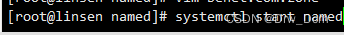 DNS domain name resolution service