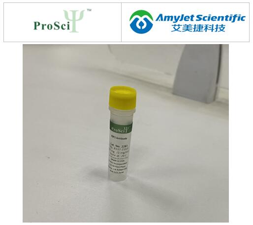人类细胞研究：ProSci LAG-3重组蛋白方案