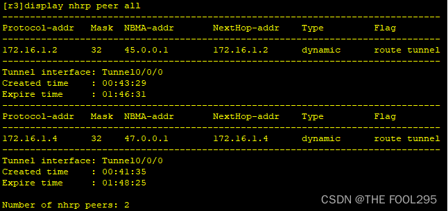 OSPF综合实验