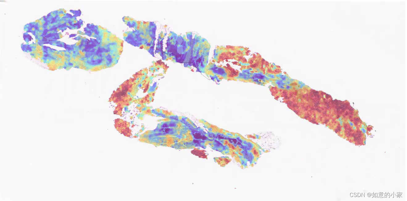 Thermogram display of pathological tissue section (floating on the surface of tissue section)