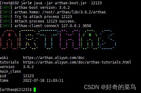 Arthas下载与启动