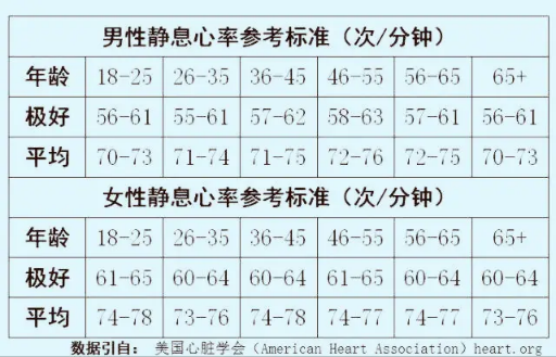程序员健康防猝指南5：运动基础入门
