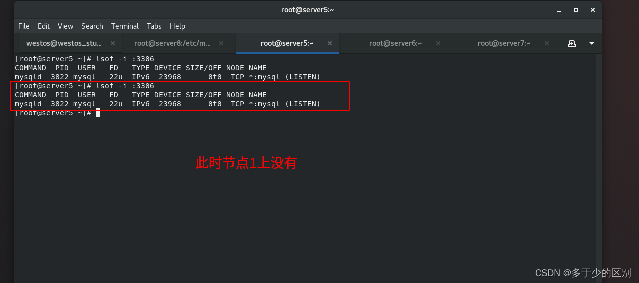 LAMP架構——mysql路由器（讀寫分離器）