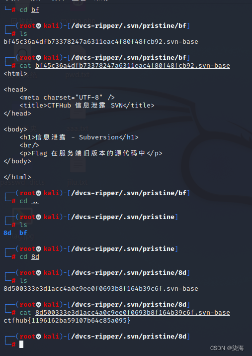 Ctfhub information disclosure
