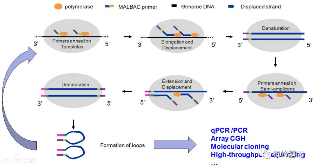 SCS [1] today starts a single-cell journey, describing the past and present lives of single-cell sequencing