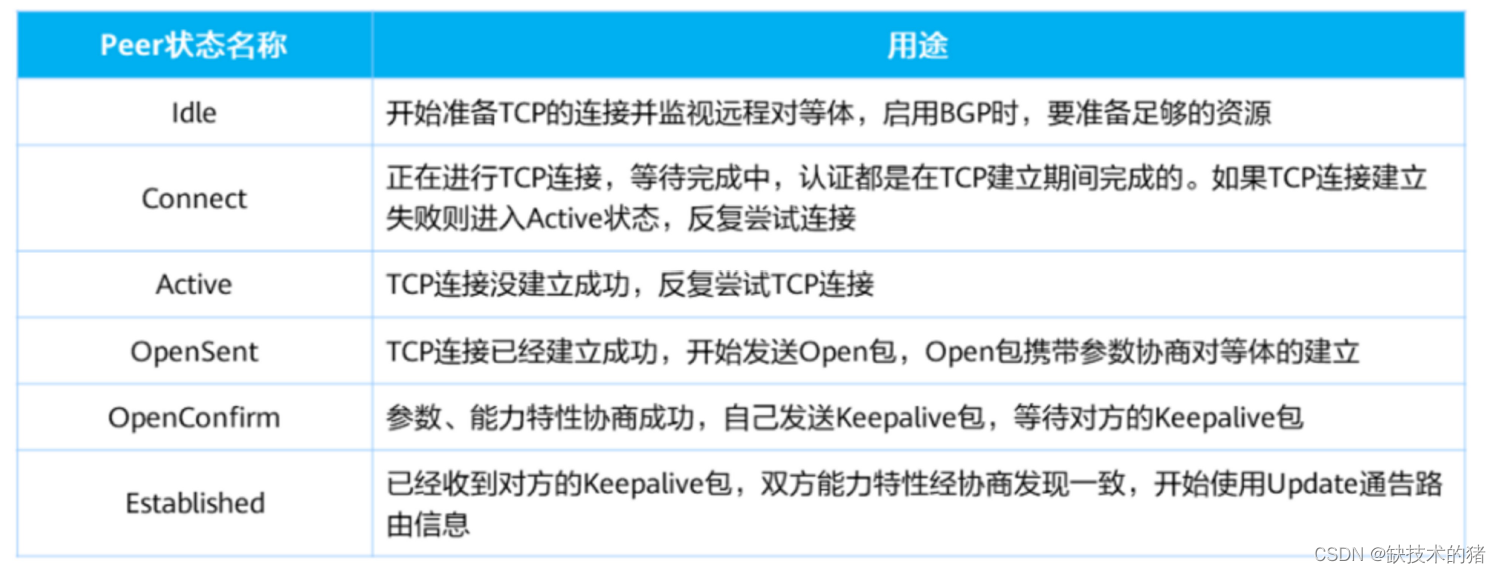 BGP边界网关协议基础知识点
